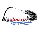 Bigulov